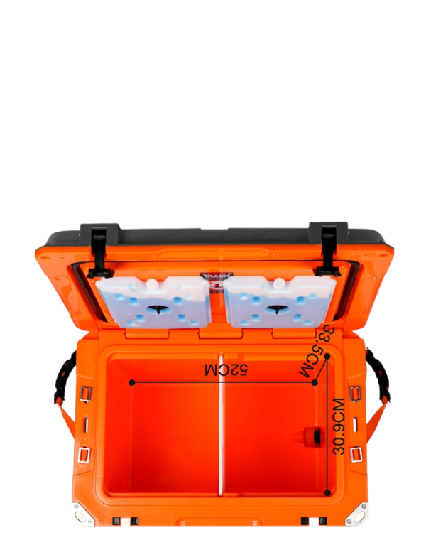 ⁦צידנית 52L כולל מחיצה פנימית וסלסלה⁩ – תמונה ⁦5⁩
